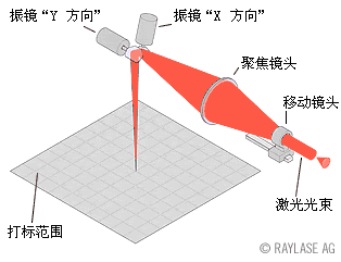 标签香蕉视频你懂的打标机什么标签都可以打吗