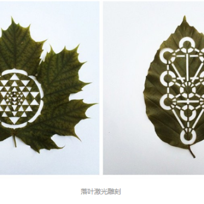 香蕉视频你懂的雕刻创意落叶：精雕细刻，成就精品